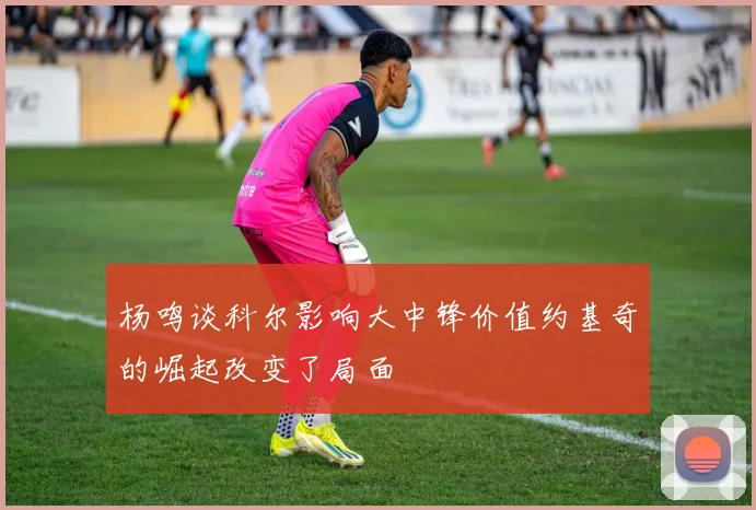 杨鸣谈科尔影响大中锋价值约基奇的崛起改变了局面