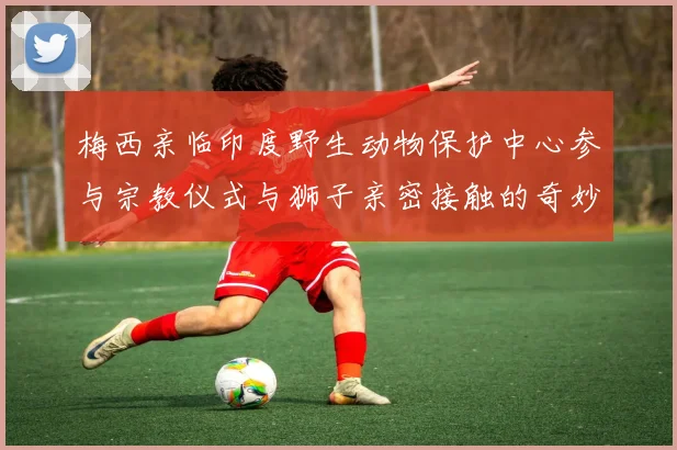 梅西亲临印度野生动物保护中心参与宗教仪式与狮子亲密接触的奇妙体验