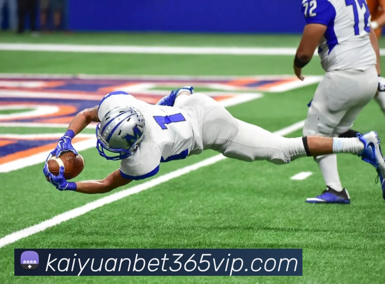 App Interface Preview